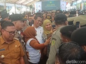 Asrul Sani Optimis Palopo Jadi Lumbung Pangan di Sulsel, Andalkan Padi-Jagung