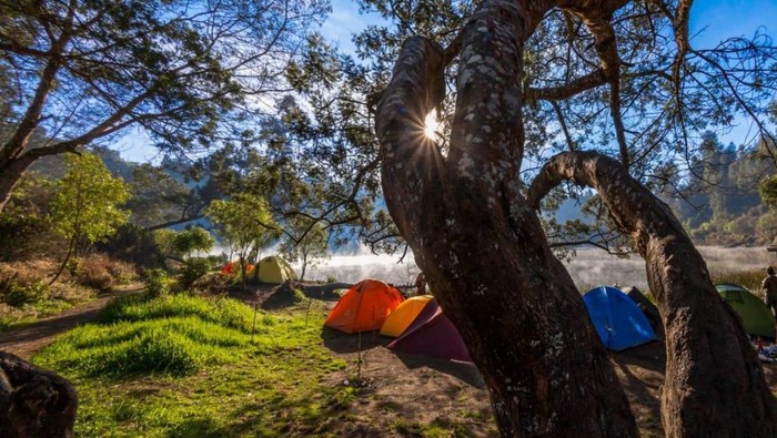 Camping Ground Ranu Regulo di Desa Ranu Pani, Kabupaten Lumajang. Camping Ground Ranu Regulo di Desa Ranu Pani, Kabupaten Lumajang.