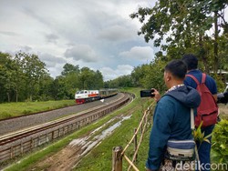 Kelok Mertan View, Spot Berburu Kereta Api yang Viral di Kulon Progo