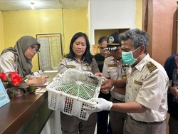 Balai Karantina Sulut Gagalkan Penyelundupan 17 Satwa di Pelabuhan Manado