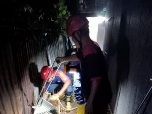 Damkar Parepare Evakuasi Ular Piton 4 Meter Sempat Serang Petugas