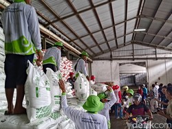 Ribuan Petani di Banyuwangi Antre Pupuk Nonsubsidi