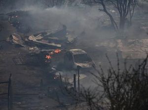 Korban Tewas Kebakaran Hutan di Chile Bertambah Jadi 46 Orang