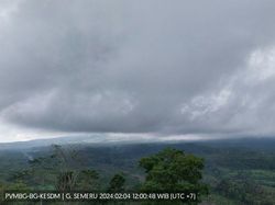 Semeru Kembali Erupsi Keluarkan Abu Vulkanik Setinggi 600 Meter