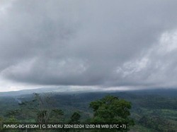 Semeru Kembali Erupsi Keluarkan Abu Vulkanik Setinggi 600 Meter