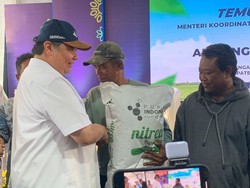 Petani Sedih Impor Beras Dilakukan Saat Panen Raya, Ini Kata Airlangga