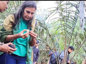 Salak Sibetan Bali Diusulkan Jadi Warisan Dunia, Sudah Dinilai Tim FAO Salak Sibetan Bali Diusulkan Jadi Warisan Dunia, Sudah Dinilai Tim FAO