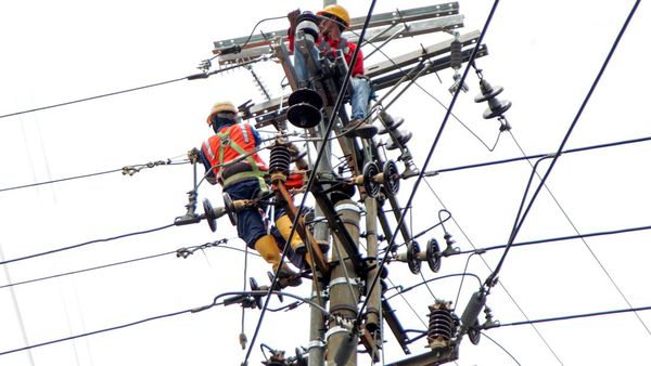 Perjuangan Petugas PLN Rawat Jaringan untuk Tingkatkan Pelayanan