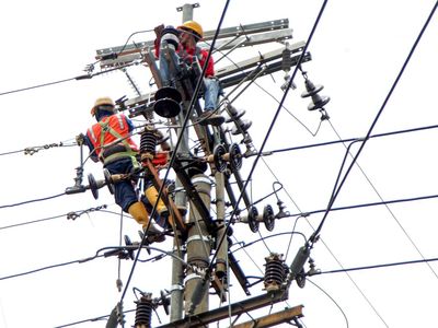 Perjuangan Petugas PLN Rawat Jaringan untuk Tingkatkan Pelayanan