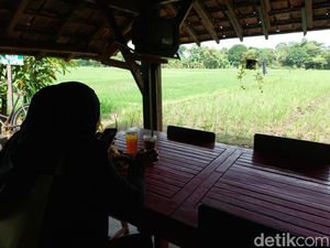 Nikmatnya Kulineran di Warung Kopi Manis dengan Pemandangan Sawah