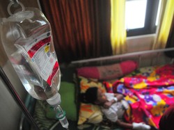 Alert! Kemenkes Keluarkan 2 SE Antisipasi DBD-Leptospirosis, Kasusnya Meningkat di RI