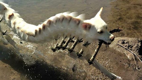 Kumpulan Foto Panorama yang Gagal Total, Bikin Ngakak