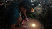 Begini Proses Pengolahan Emas Tambang Rakyat di Pulau Obi