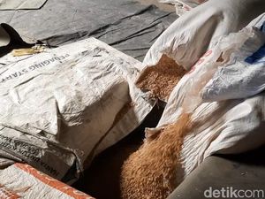 Dampak Harga Gabah Dikerek Beras Bisa Mahal, Tapi Biaya Produksi Naik