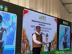 Mentan: Beli Pupuk Tak Lagi Pakai Kartu Tani, Cukup KTP