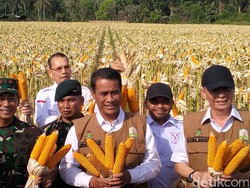 Mentan Sebut Pangdam IM Terbaik Sektor Pangan: Saya Diberitahu Presiden