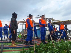 Jaga Ekosistem, Ditpolairud Polda Jambi Tebar Benih Ikan di Danau Sipin