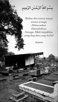 7 Momen Detik-detik Proses Ekshumasi Makam Anak Tamara Tyasmara ...