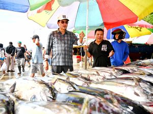 Fadel Muhammad Dorong Penguatan Bidang Pertanian-Perikanan Gorontalo
