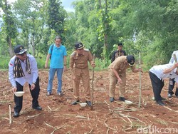 Wamentan Sebut Kementan Fokus Genjot Produksi Jagung dan Beras Tahun Ini
