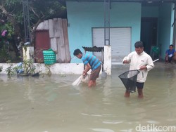 2 Hari Banjir Imbas Tanggul Jebol di Lamongan: Warga Cari Ikan Depan Rumah