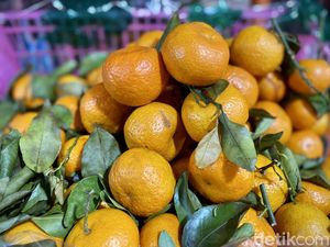 5 Tempat Beli Jeruk Dekopon hingga Ponkam untuk Imlek 5 Tempat Beli Jeruk Dekopon hingga Ponkam untuk Imlek