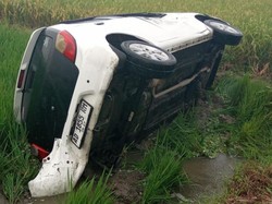 Disundul Pikap, Sedan Nyemplung Sawah di Klaten