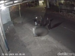 Polisi Tangkap 2 Pria Penganiaya Anjing hingga Tewas di Mataram