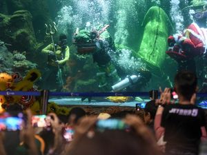 Melihat Atraksi Barongsai Berenang di Sea World Ancol