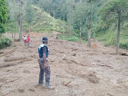 Longsor Terjang Permukiman Warga Intan Jaya, 4 Orang Dinyatakan Hilang