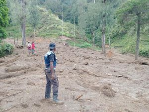 Longsor Terjang Permukiman Warga Intan Jaya, 4 Orang Dinyatakan Hilang Longsor Terjang Permukiman Warga Intan Jaya, 4 Orang Dinyatakan Hilang