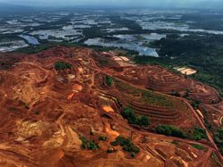 Bahlil Ungkap Data dari AS, 45% Cadangan Nikel Dunia Tersimpan di RI