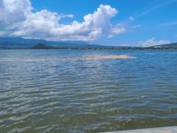 Ada Gumpalan Buih di Teluk Bima, DLH Langsung Cek dan Temukan Ini
