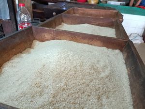 Rakyat Harus Sabar! Harga Beras Baru Turun Bulan Depan