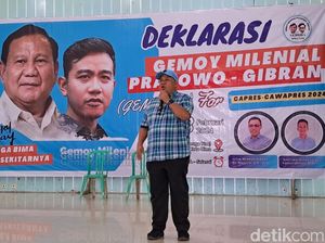 Fahri Hamzah Klaim Provinsi Pulau Sumbawa Disahkan jika Prabowo Menang