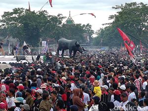 Pendukung Ganjar-Mahfud Tumpah di Banyuwangi