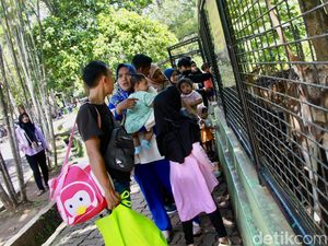 Ragunan Tambah Jam Buka hingga Pukul 17.00 WIB Selama Libur Lebaran