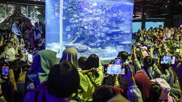 Serunya Menghabiskan Libur Panjang di Sea World Ancol