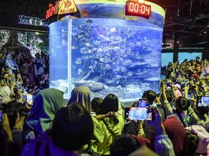 Serunya Menghabiskan Libur Panjang di Sea World Ancol