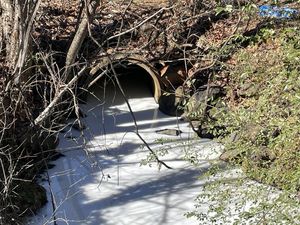 Ketika Sungai di Virginia Berubah Jadi Susu