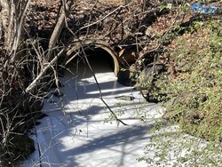 Ketika Sungai di Virginia Berubah Jadi Susu