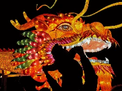 Gong Xi Fa Cai, Rezeki Berlimpah di Tahun Naga Kayu