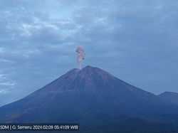 Erupsi Gunung Semeru, Luncurkan Abu Vulkanik Setinggi 1.000 Meter