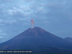 Erupsi Gunung Semeru, Luncurkan Abu Vulkanik Setinggi 1.000 Meter