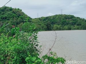 Lahan Pertanian 12 Hektare di Kragilan Klaten Masih Terendam, Ini Sebabnya Lahan Pertanian 12 Hektare di Kragilan Klaten Masih Terendam, Ini Sebabnya