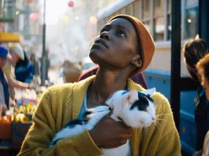 Debut Manis Frodo Si Kucing Ajaib di A Quiet Place: Day One Debut Manis Frodo Si Kucing Ajaib di A Quiet Place: Day One