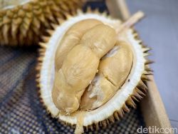 Durian Segar vs Durian Beku, Mana yang Lebih Enak?