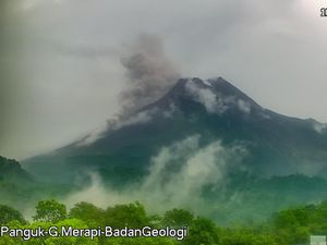 Gunung Merapi Muntahkan Awan Panas ke Arah Kali Bebeng