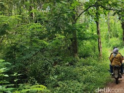 Kisah Mitos Dilarang Sompral di Kampung Rumah 8 Ciamis