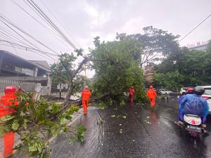 Hujan Deras Disertai Angin Kencang Tumbangkan Pohon di Langsep Malang Hujan Deras Disertai Angin Kencang Tumbangkan Pohon di Langsep Malang